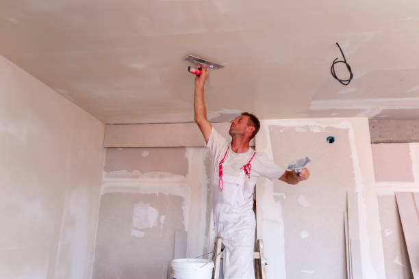 Best Custom Drywall Designs  in Lake Mills, WI